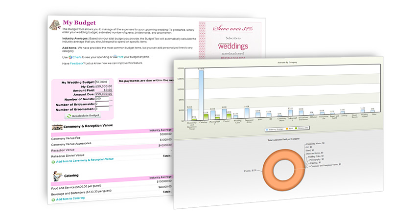 My Budget Example Image
