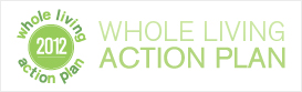 Action Plan 28-Day Challenge Newsletter