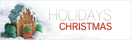 Christmas Newsletter