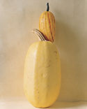 A pair of squash makes for interesting subject-matter