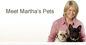 Martha and her Frenchies Martha and her Frenchies