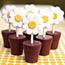 Baby Shower Ideas