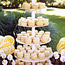 Daisy Shower Decor