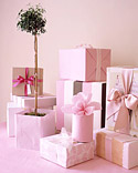 Pink Baby Shower