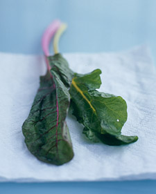 Spring Greens Recipes