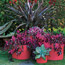 Grouped Planters