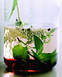 Make Your Own Winter Remedies