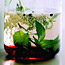 Winter Remedies