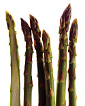 Asparagus Yin and Yang