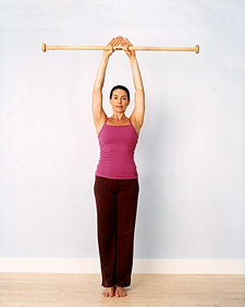 Standing Torso Stretch 