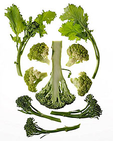 Broccoli Basics