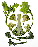Broccoli Basics