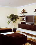Green House: Living Room