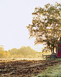 So You Want to Be a Farmer?