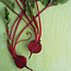Power Foods: Beets