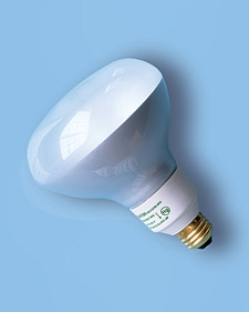 Best Eco Bulbs