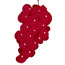 Longevity Foods