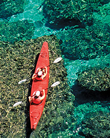 Galapagos-based Eco-Cruise 