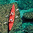 Eco-Cruise