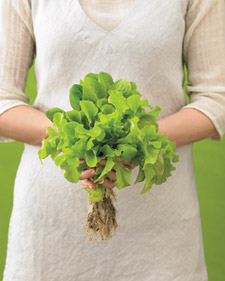 The Earth-Friendly Diet