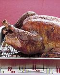 My First Thanksgiving: The Turkey