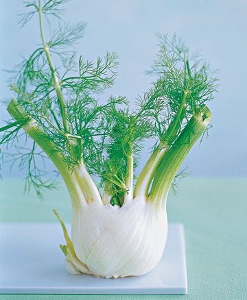 fennel