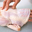 Buy Chickens Whole