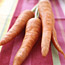 Carrots