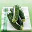 Squash Recipes
