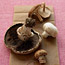 Mushrooms