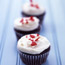 Frosted Cupcakes