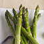 Preparing Asparagus