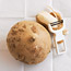 Jicama