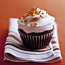 Chocolate Cupcakes