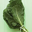 Collard Greens