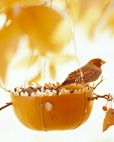 Pumpkin Bird Feeder