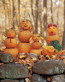 Gourd Family Gourd Family: Martha Stewart
