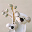 Shell Creatures