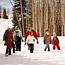 A Winter Walk