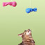 Sock Fish