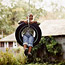 Tree Swing