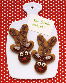ka100959_hol04_gingreindeer_l.jpg