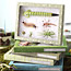 Bug Party Favors 