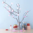 Cherry-Blossom Tree