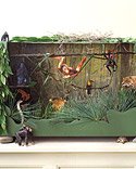 Jungle Diorama