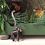 Jungle Diorama