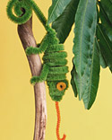 Pipe Cleaner Creatures