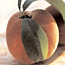 Peach Recipes