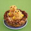 Crunchy Critters