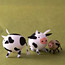 Country Cow